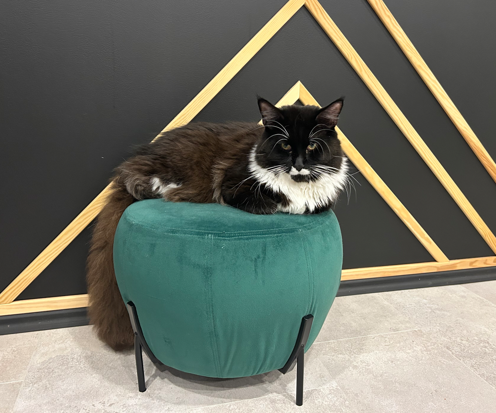 Saabumine Hispaaniasse: Lend kassiga, autorent ja esimesed seiklused