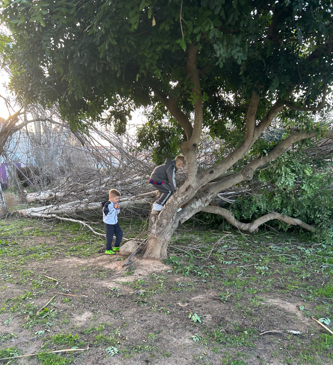 Poisid tormiga langenud puude peal väljas ronimas
