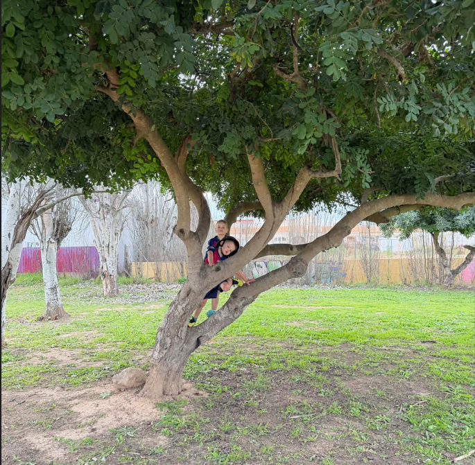 Kelvi ja River väiksema puu otsas pargis ronimas