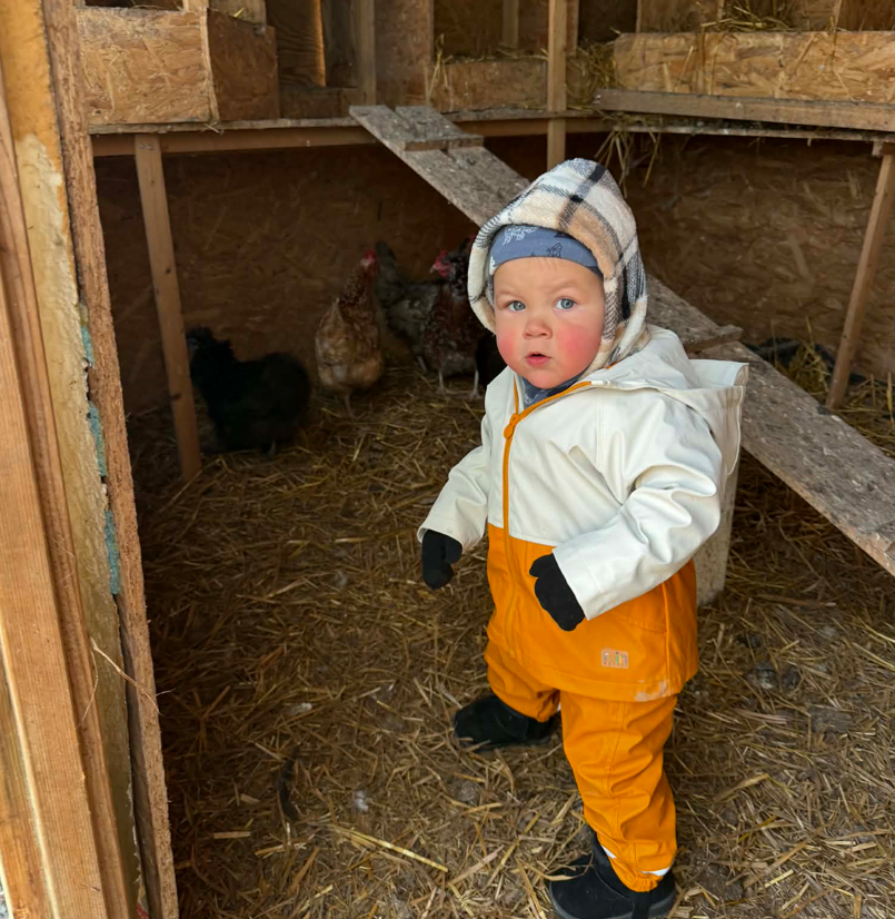 Thor kanalas mune kogumas