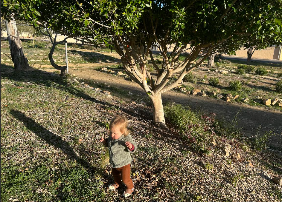 Sabadell kodulaen, ehituskvaliteet La Floridas ja Eesti kinnisvaraturg