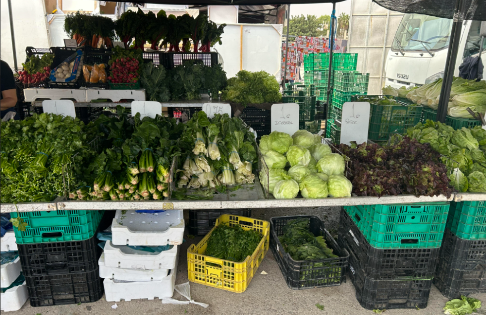 Torrevieja turg ja kooli registreerimine: Hinnad ja dokumendid